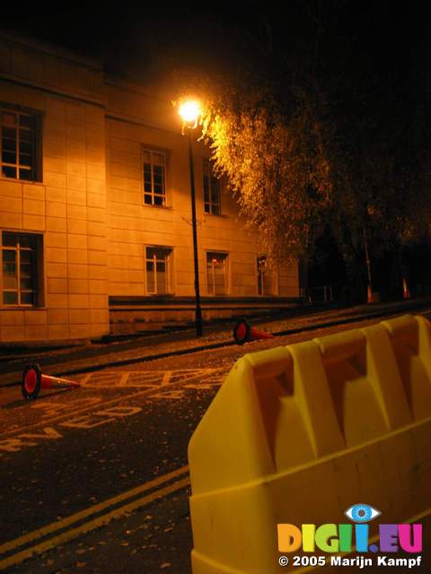 15581 Cones and tree in yellow street light